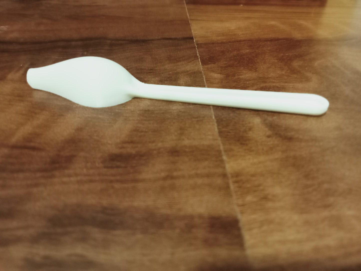 Bird feeding spoon