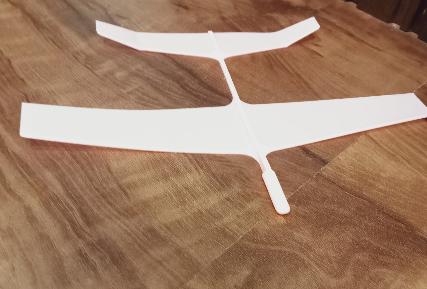 Small gliding aeroplane