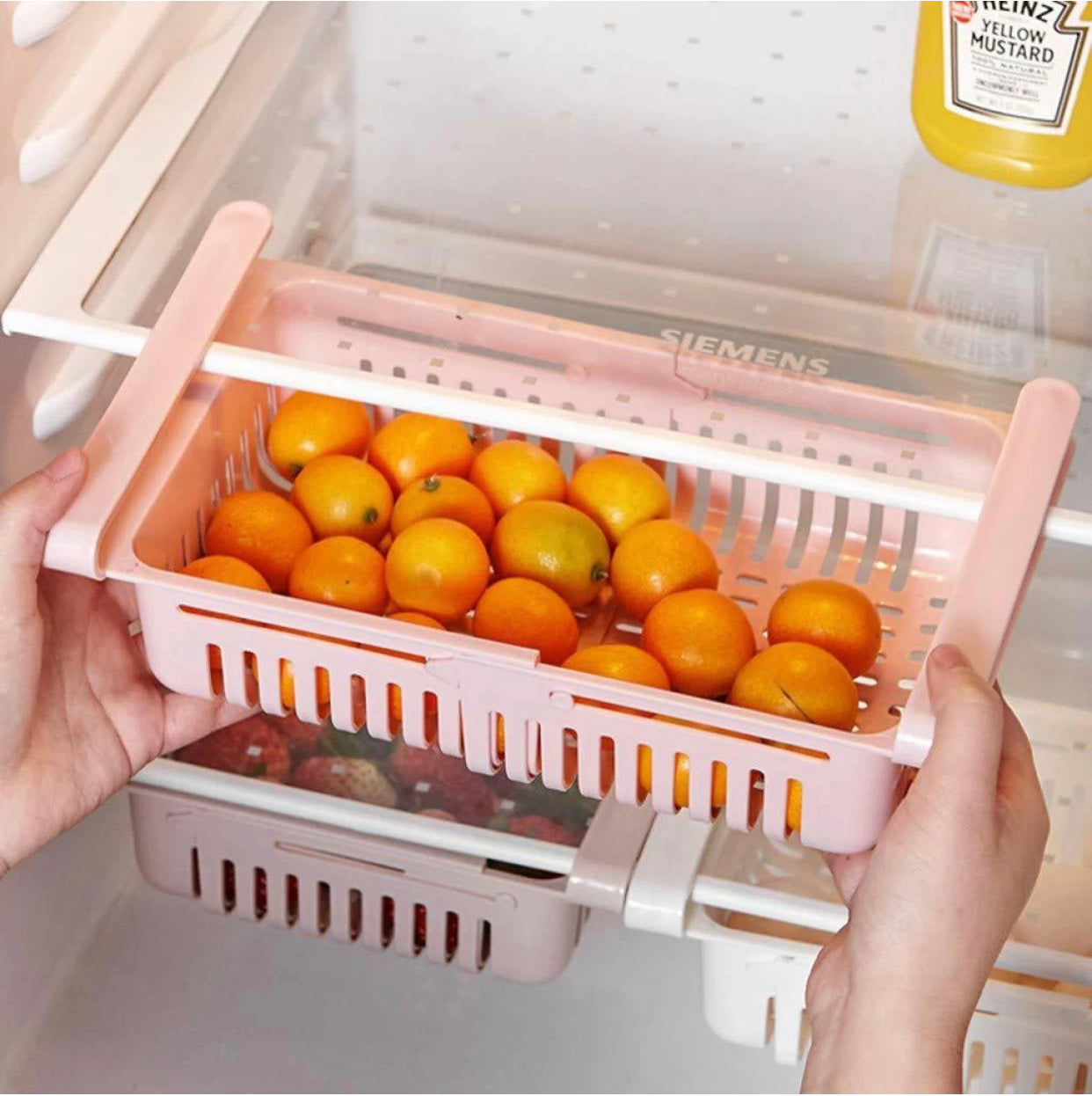 Fridge Tray