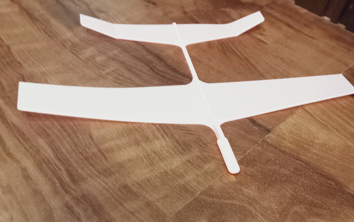 Small gliding aeroplane