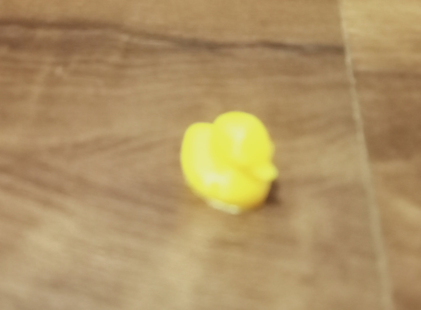 Mini duck